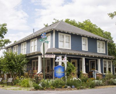 Wildflower-Front-scaled